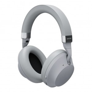 Raycon The Everyday Headphones Pro Wit | RKFU-58319